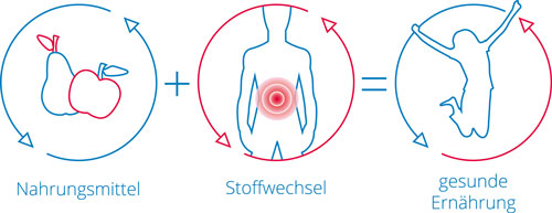 Nahrungsmittel + Stoffwechsel = gesunde Ernährung
